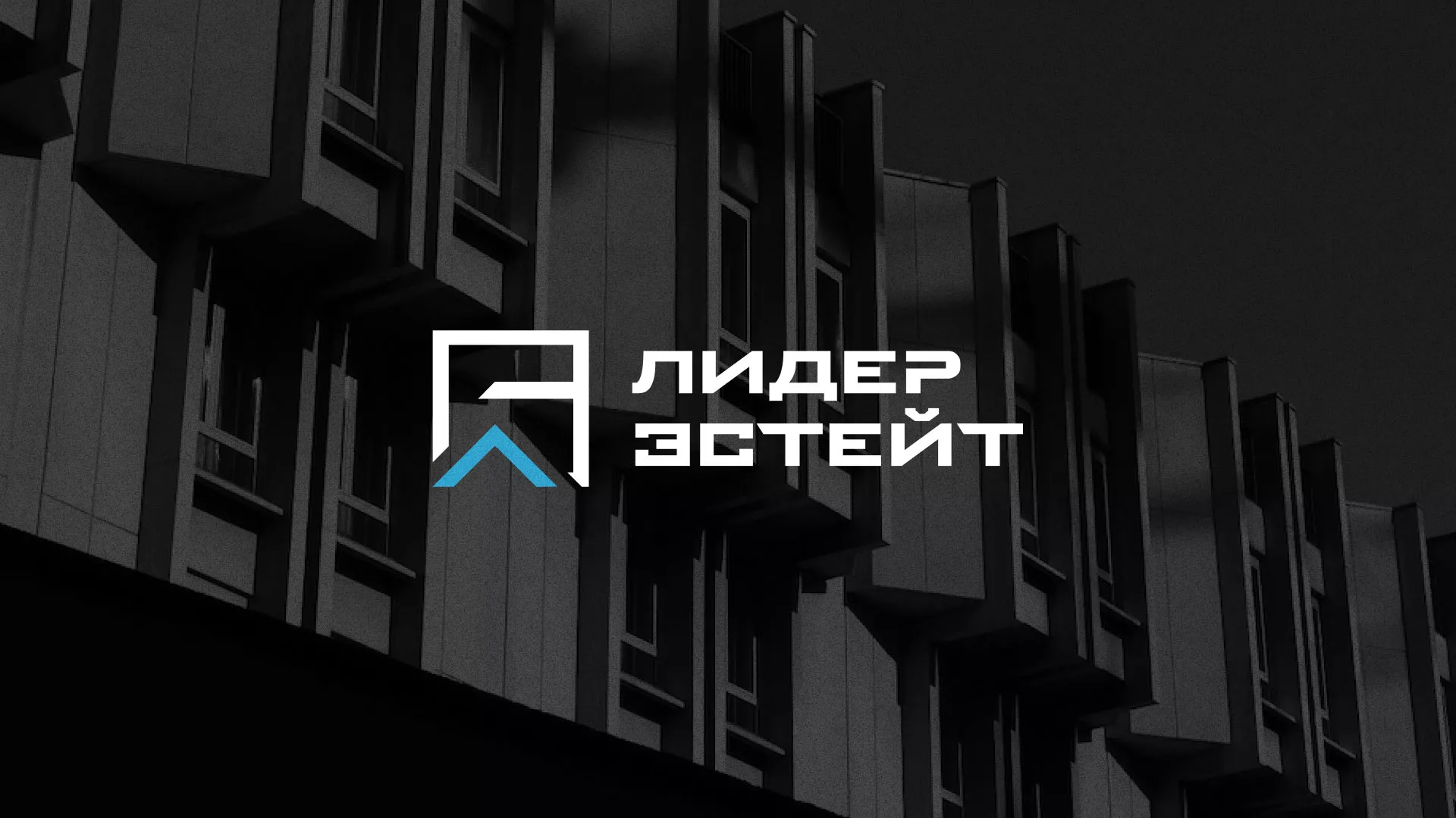 Разработка логотипа агентства недвижимости «Лидер Эстейт» в Воскресенске